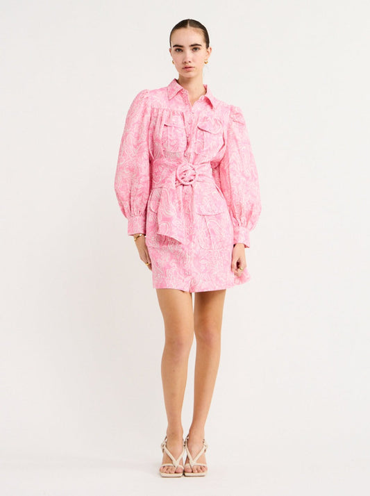 Steele Isabella Dress in Pink Paisley