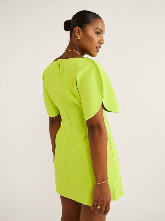 Acler Rogeron Mini Dress in Citron Coco & Lola Acler Rogeron Mini Dress in Citron Coco & Lola