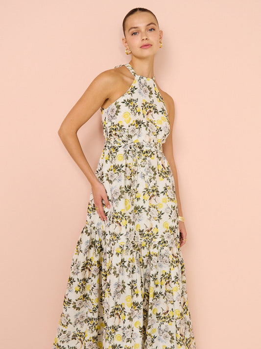 Aqua Blu Zoe Dress in Clementine Print