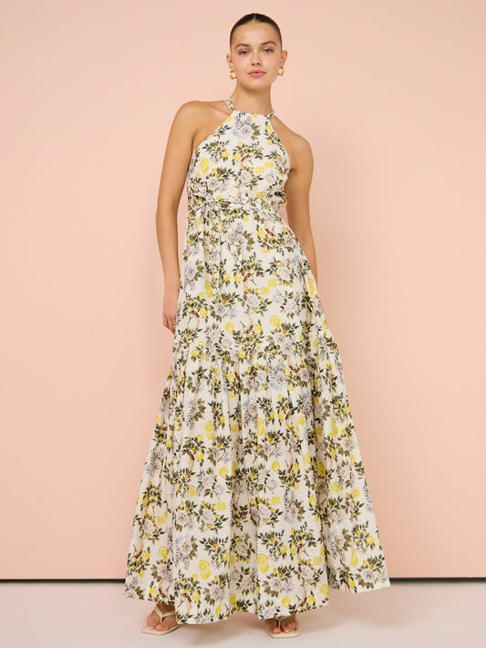 Aqua Blu Zoe Dress in Clementine Print