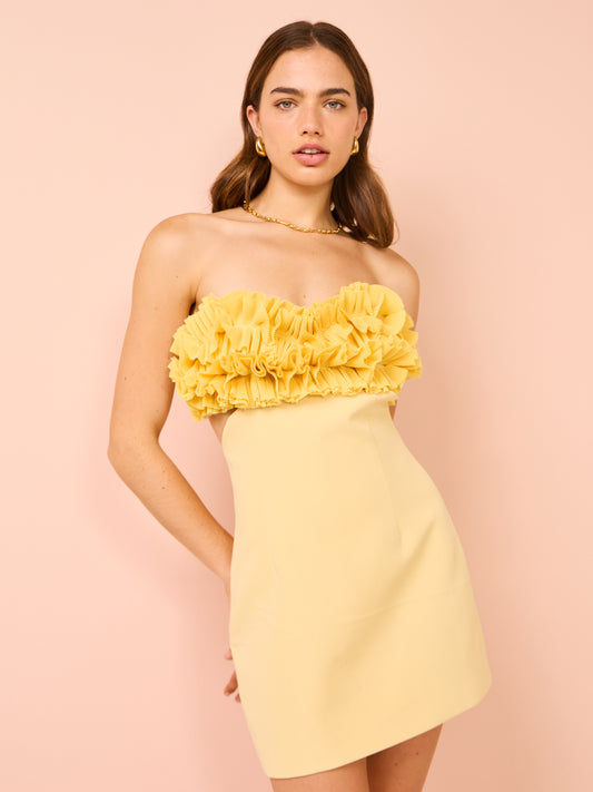 Tojha Lia Dress in Lemon