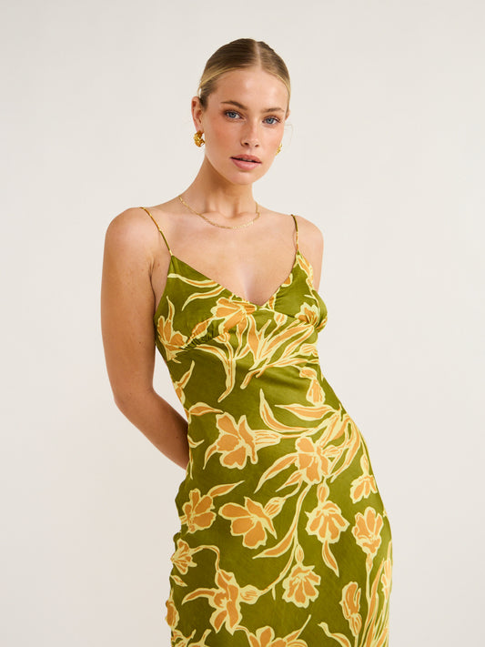 Faithfull the Brand Santiana Maxi Dress in Faro Floral