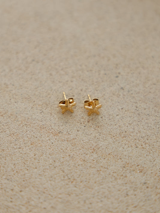 Arms of Eve Starfish Studs in Gold