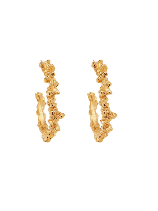 Amber Sceats Bella Earrings in Gold
