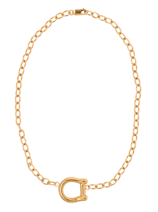 Released from Love Horseshoe Choker in Gold