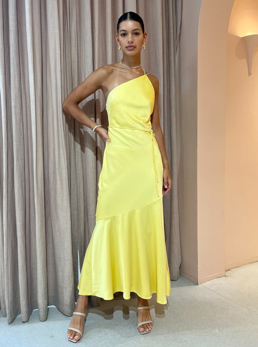 significant other lana maxi dress Other, Wedding Dress Save 73% it pairs well with a simple heel for a complete look Significant Other Printed Lana Maxi